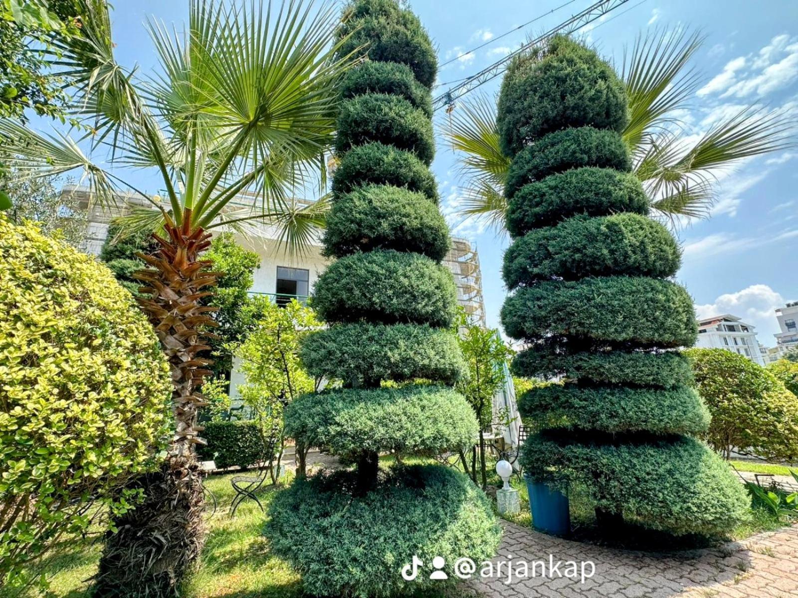 A-Vila Golem  Exteriér fotografie