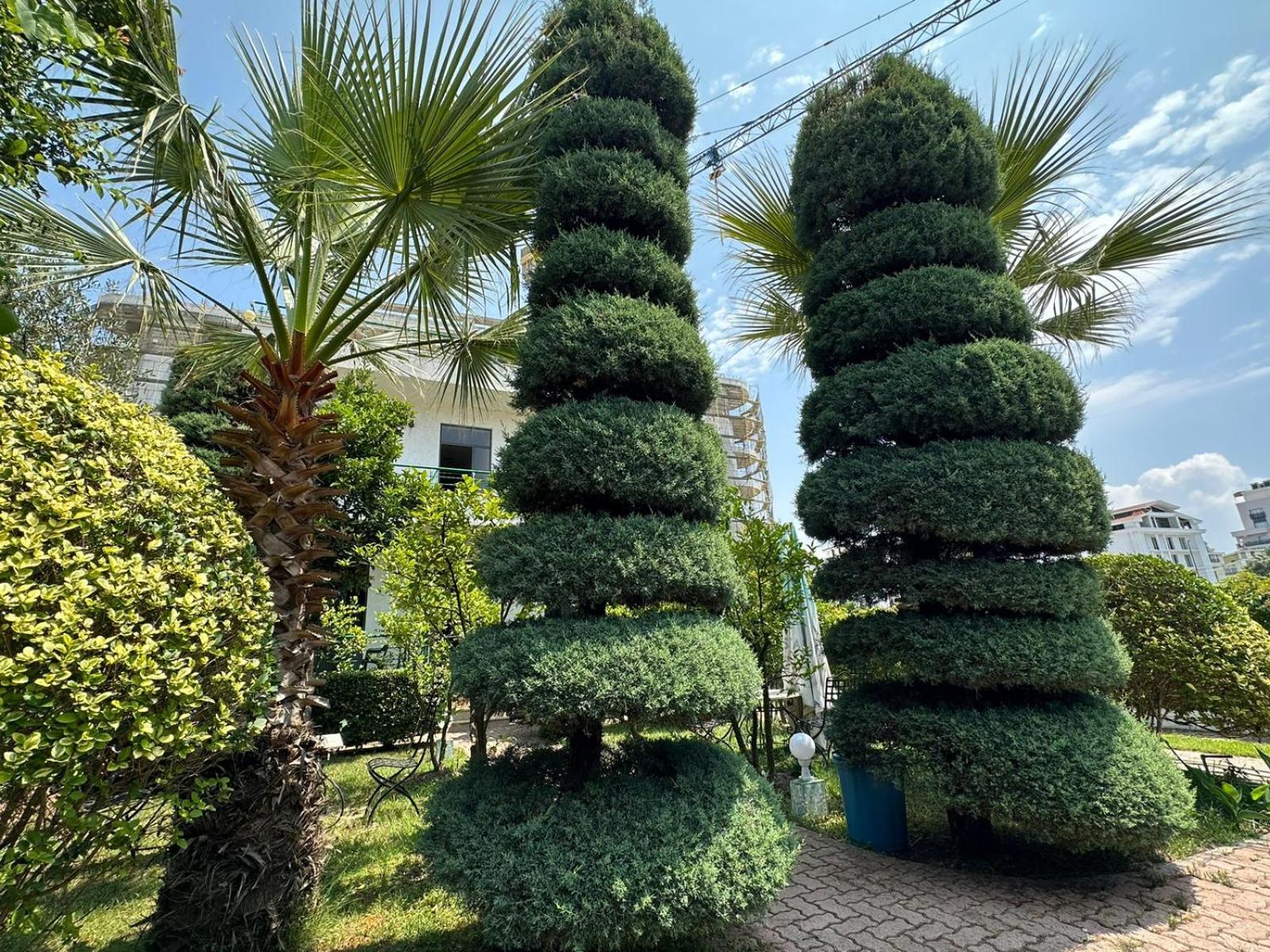 A-Vila Golem  Exteriér fotografie